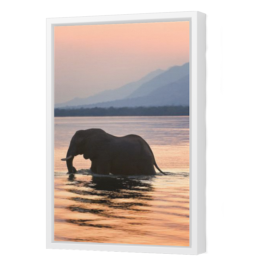 Thumbnail for Canvas - White Floating Frame