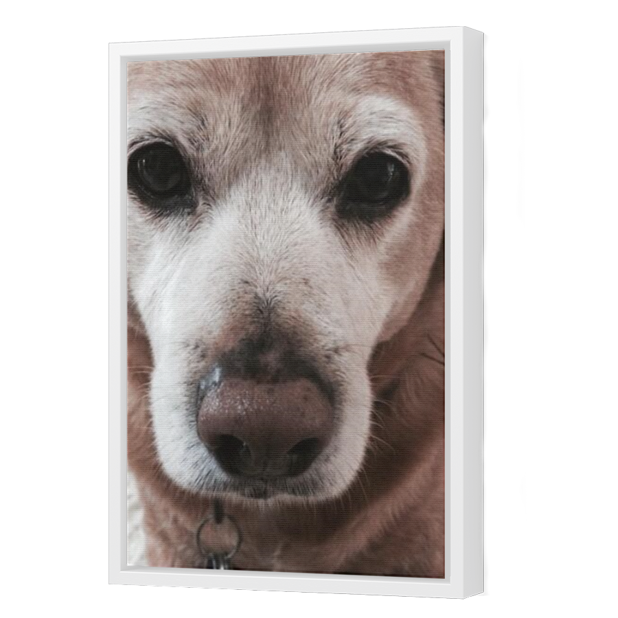 Thumbnail for Canvas - White Floating Frame