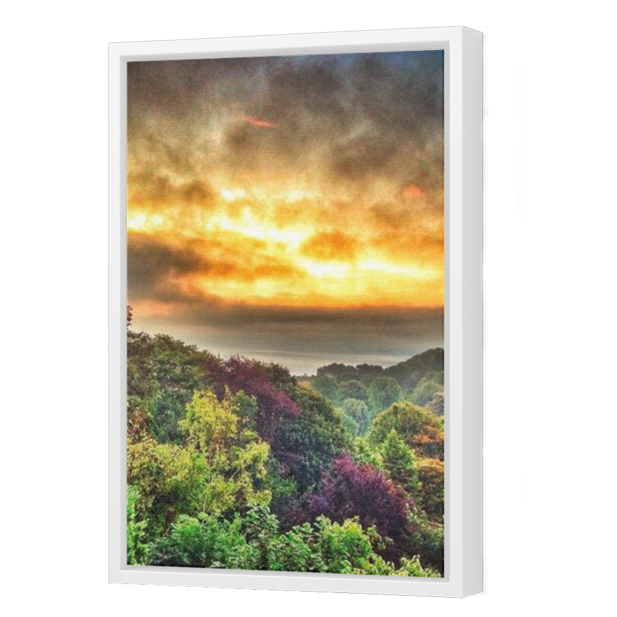 Thumbnail for Canvas - White Floating Frame