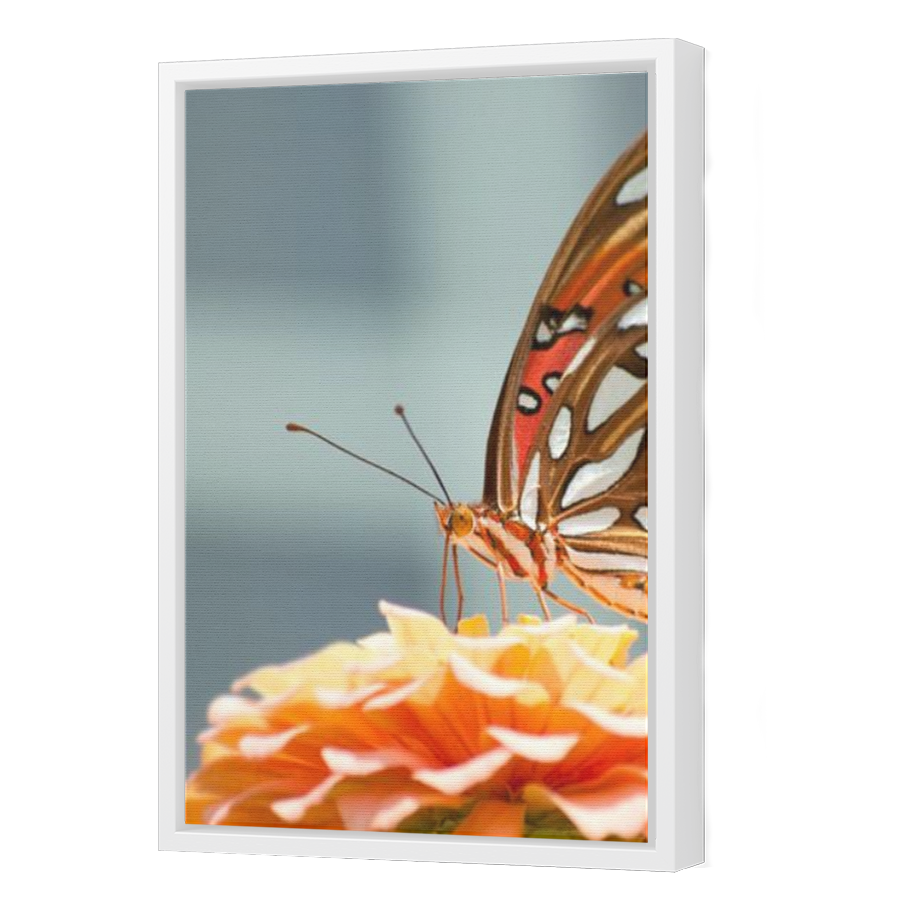 Thumbnail for Canvas - White Floating Frame