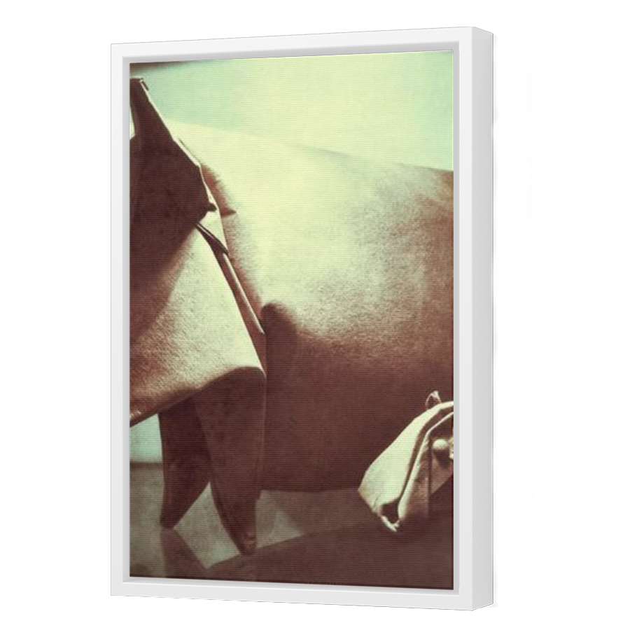 Thumbnail for Canvas - White Floating Frame