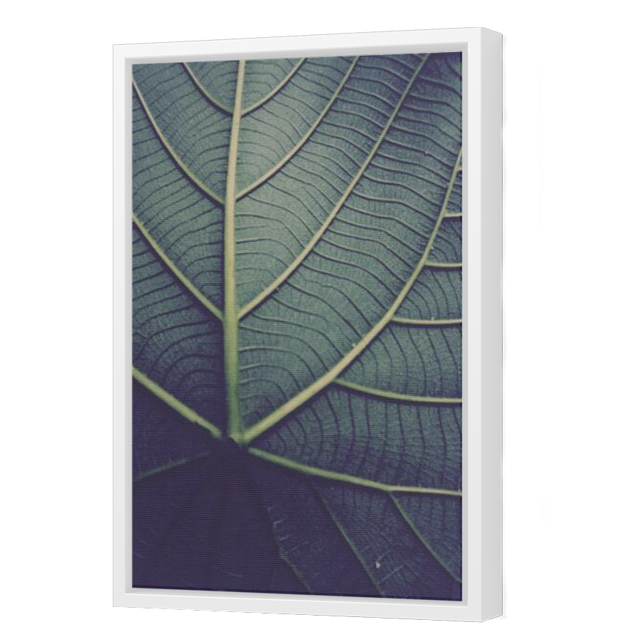 Thumbnail for Canvas - White Floating Frame