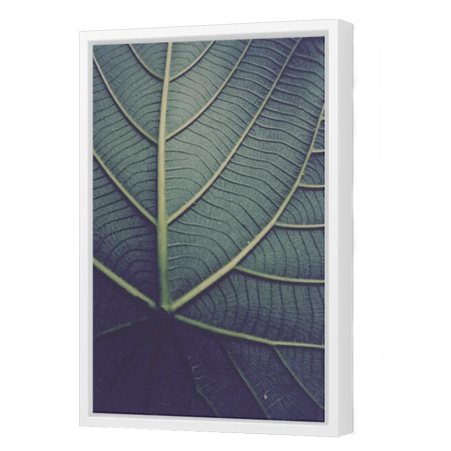Thumbnail for Canvas - White Floating Frame
