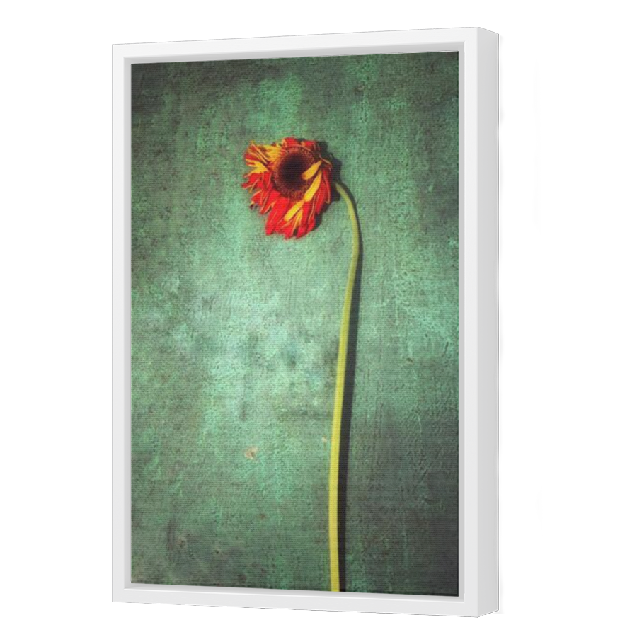 Thumbnail for Canvas - White Floating Frame