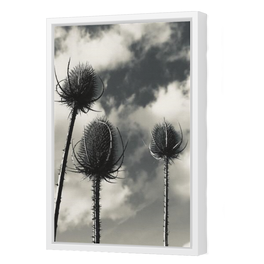 Thumbnail for Canvas - White Floating Frame