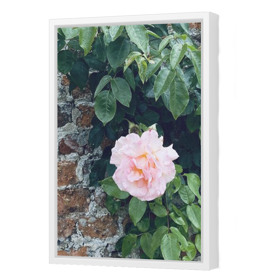 Thumbnail for Canvas - White Floating Frame