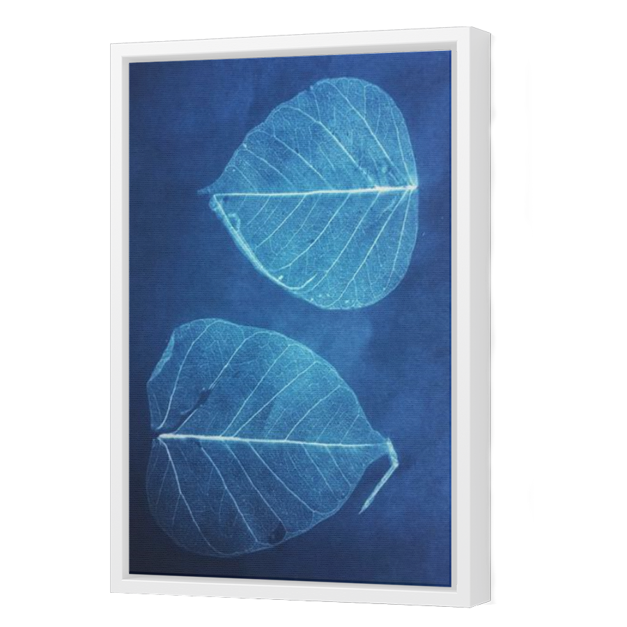 Thumbnail for Canvas - White Floating Frame