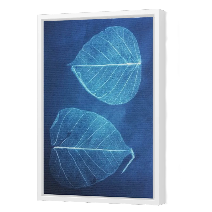 Thumbnail for Canvas - White Floating Frame