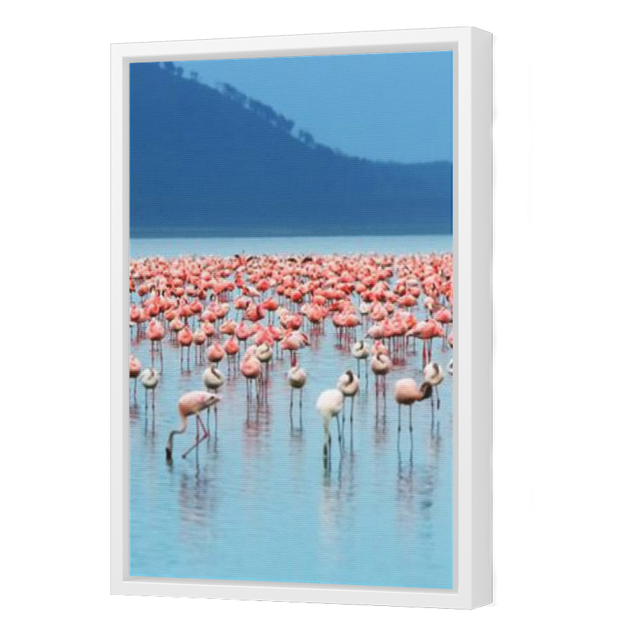 Thumbnail for Canvas - White Floating Frame