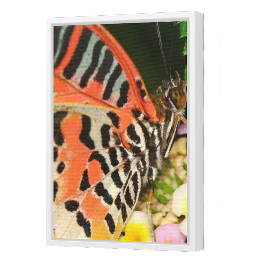 Thumbnail for Canvas - White Floating Frame