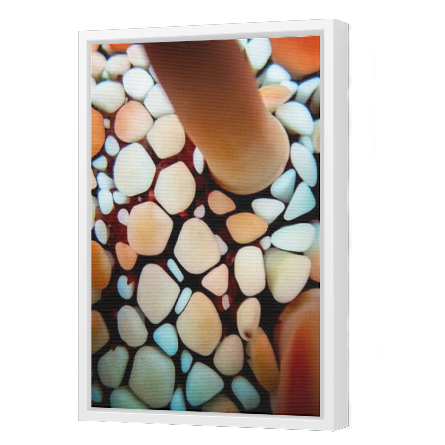 Thumbnail for Canvas - White Floating Frame