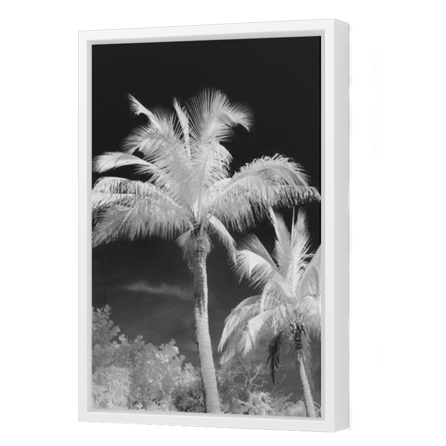 Thumbnail for Canvas - White Floating Frame