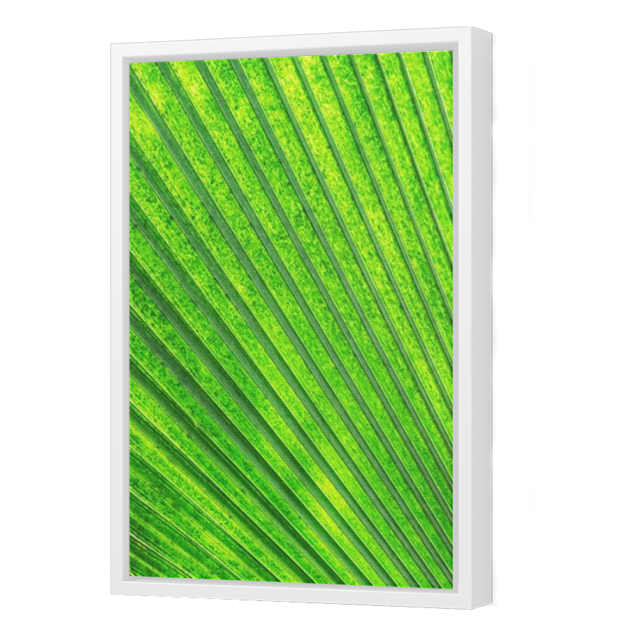 Thumbnail for Canvas - White Floating Frame