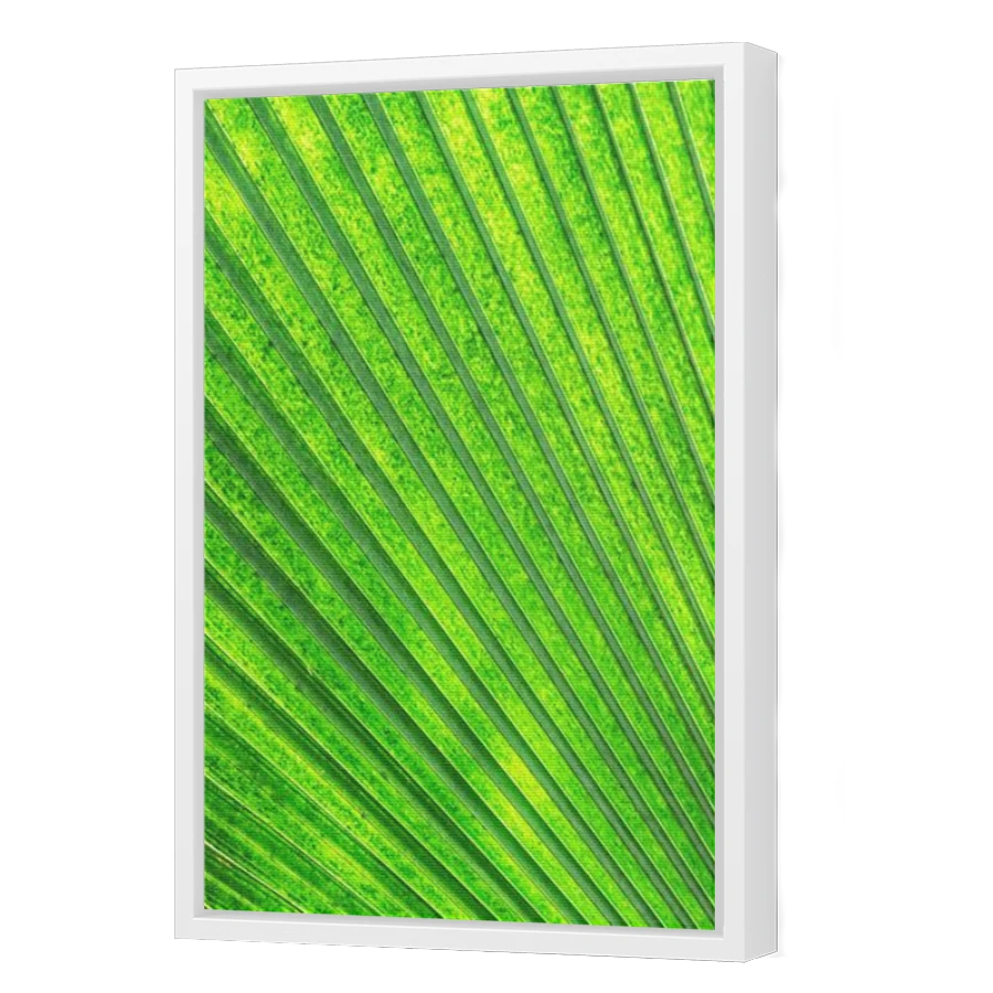 Thumbnail for Canvas - White Floating Frame