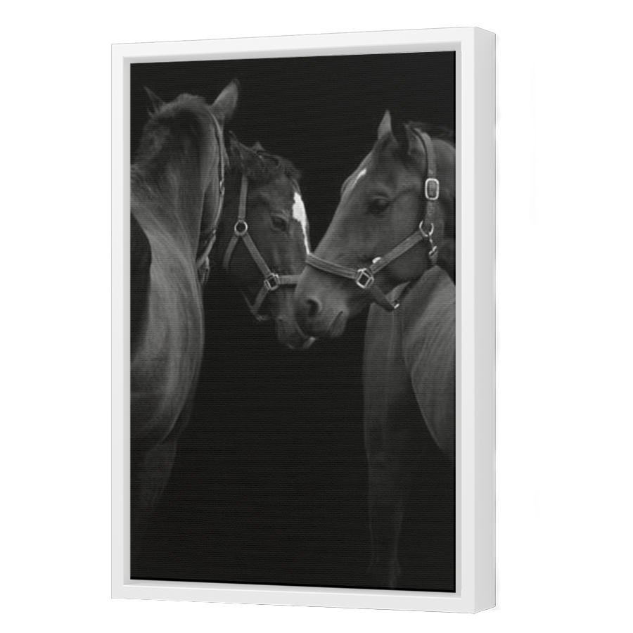 Thumbnail for Canvas - White Floating Frame