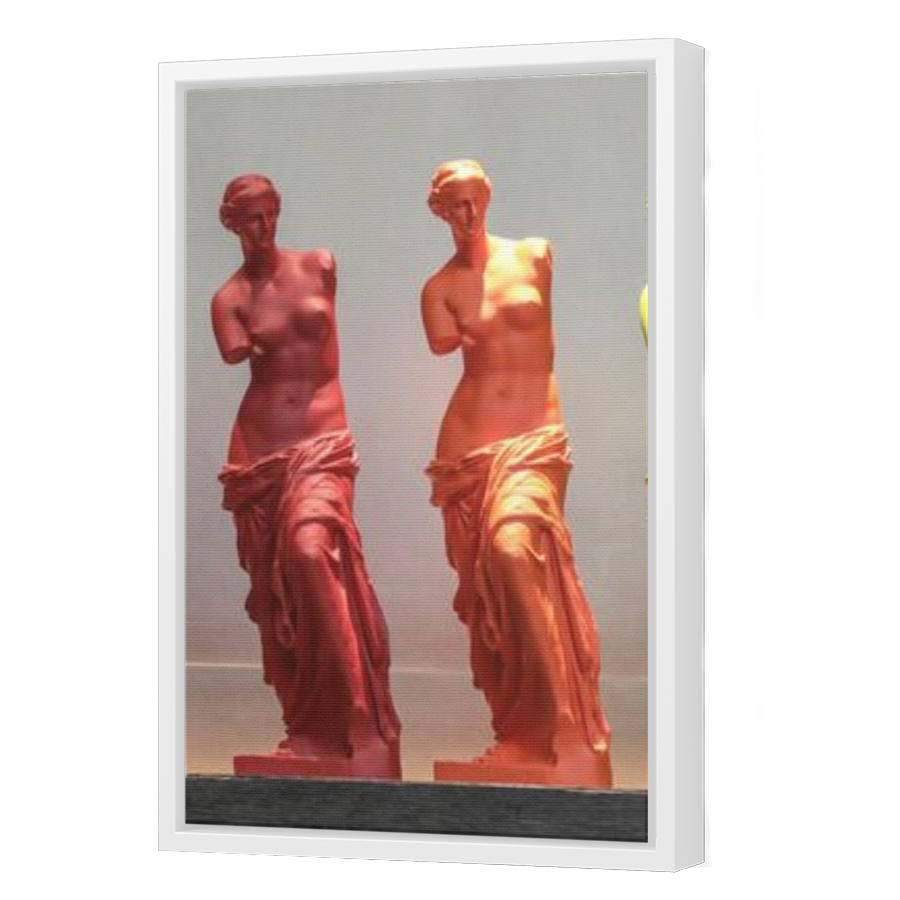 Thumbnail for Canvas - White Floating Frame