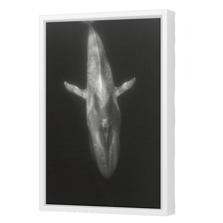 Thumbnail for Canvas - White Floating Frame