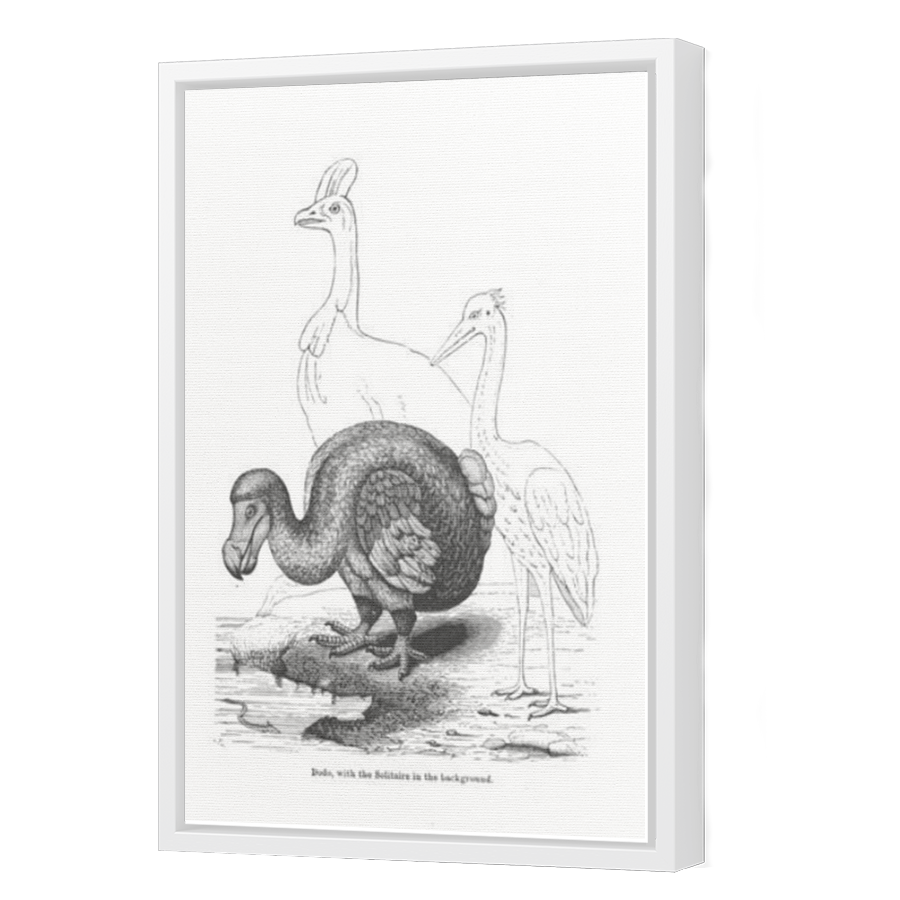 Thumbnail for Canvas - White Floating Frame