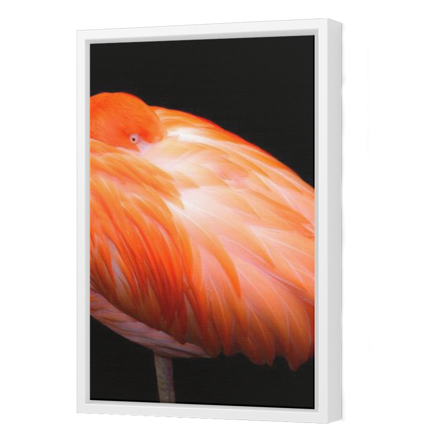 Thumbnail for Canvas - White Floating Frame