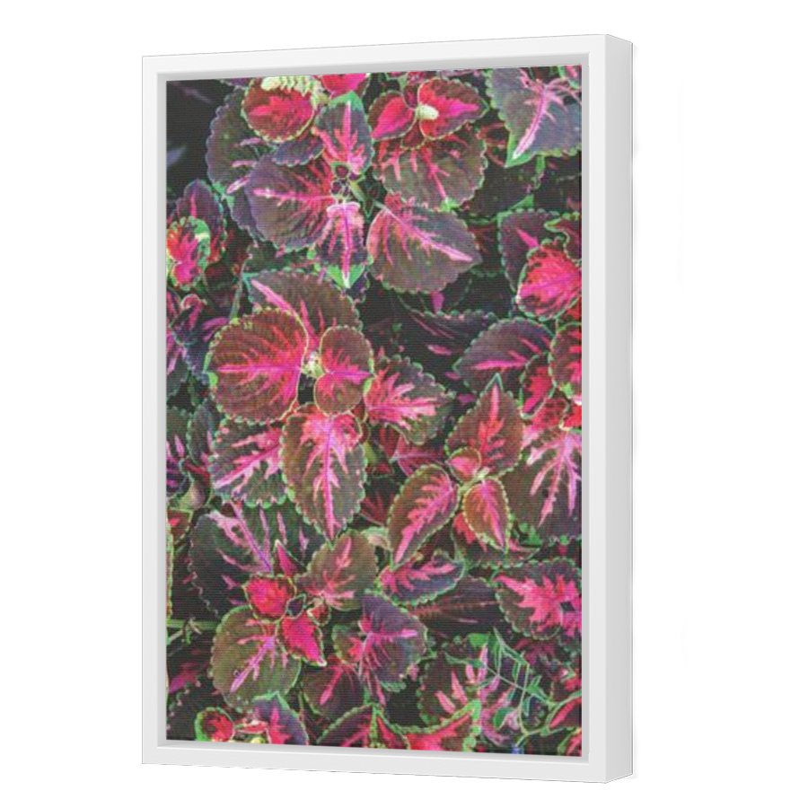 Thumbnail for Canvas - White Floating Frame