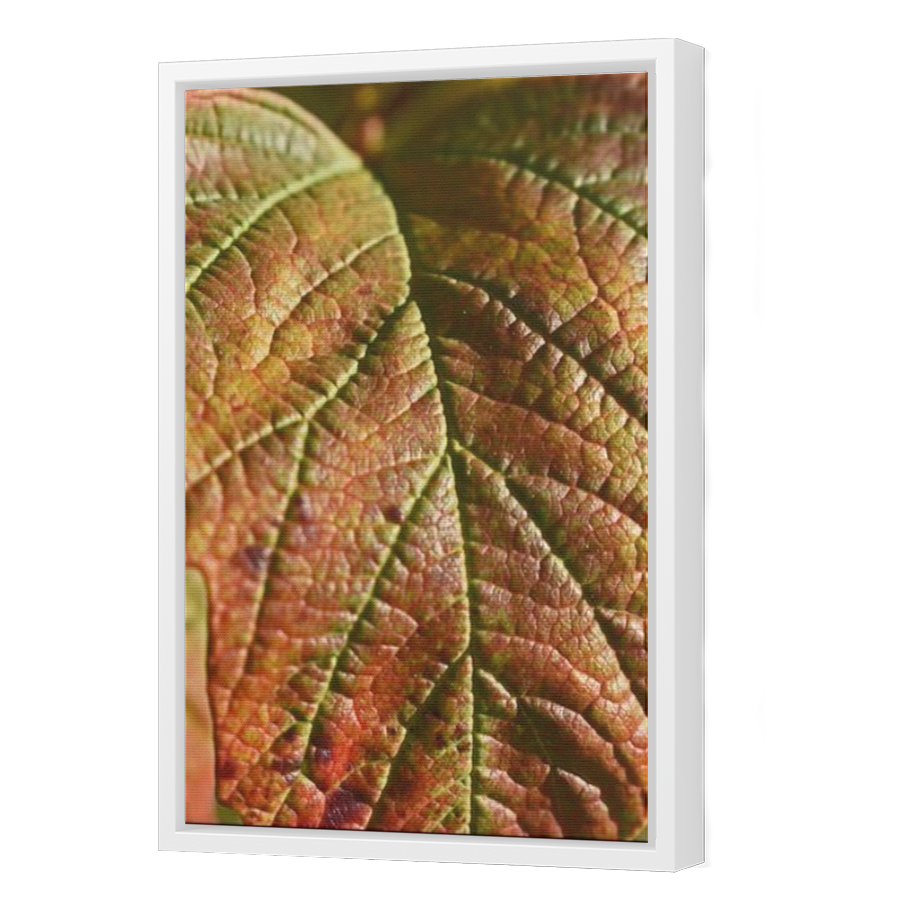 Thumbnail for Canvas - White Floating Frame
