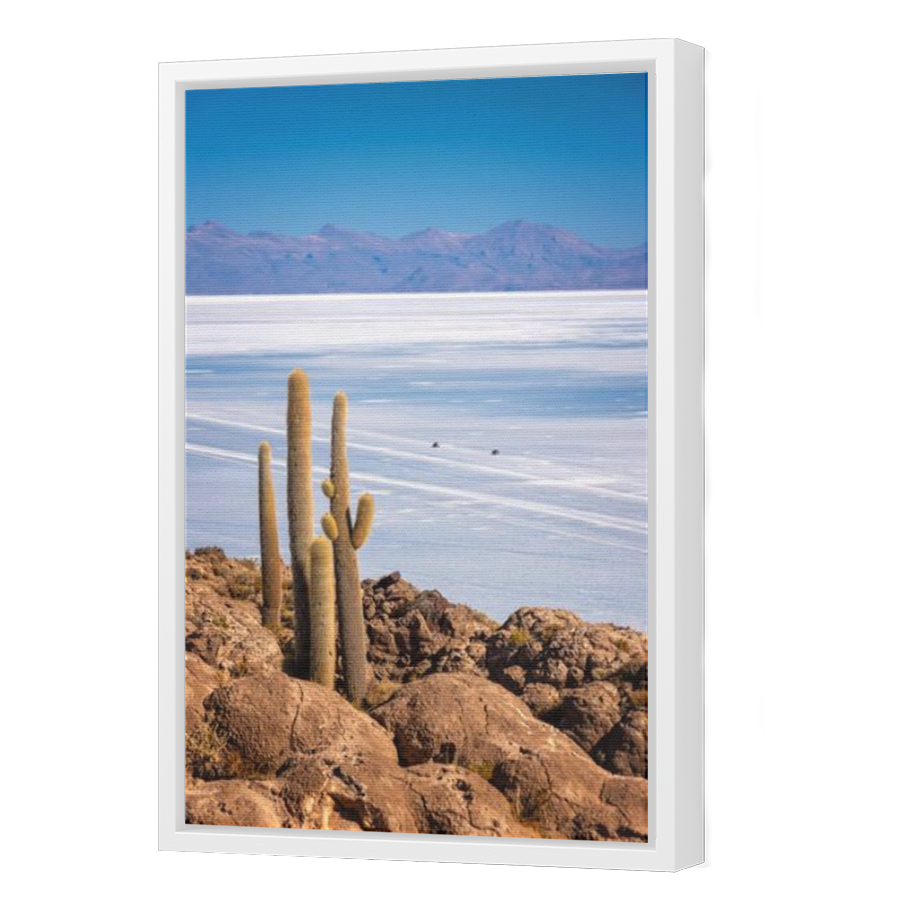 Thumbnail for Canvas - White Floating Frame