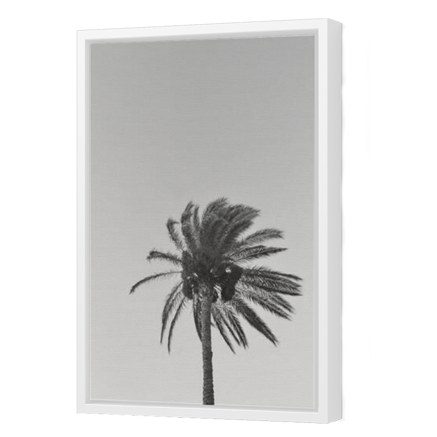 Thumbnail for Canvas - White Floating Frame