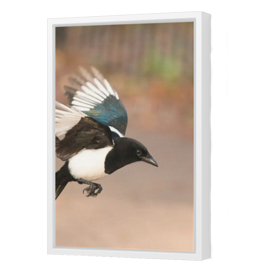 Thumbnail for Canvas - White Floating Frame