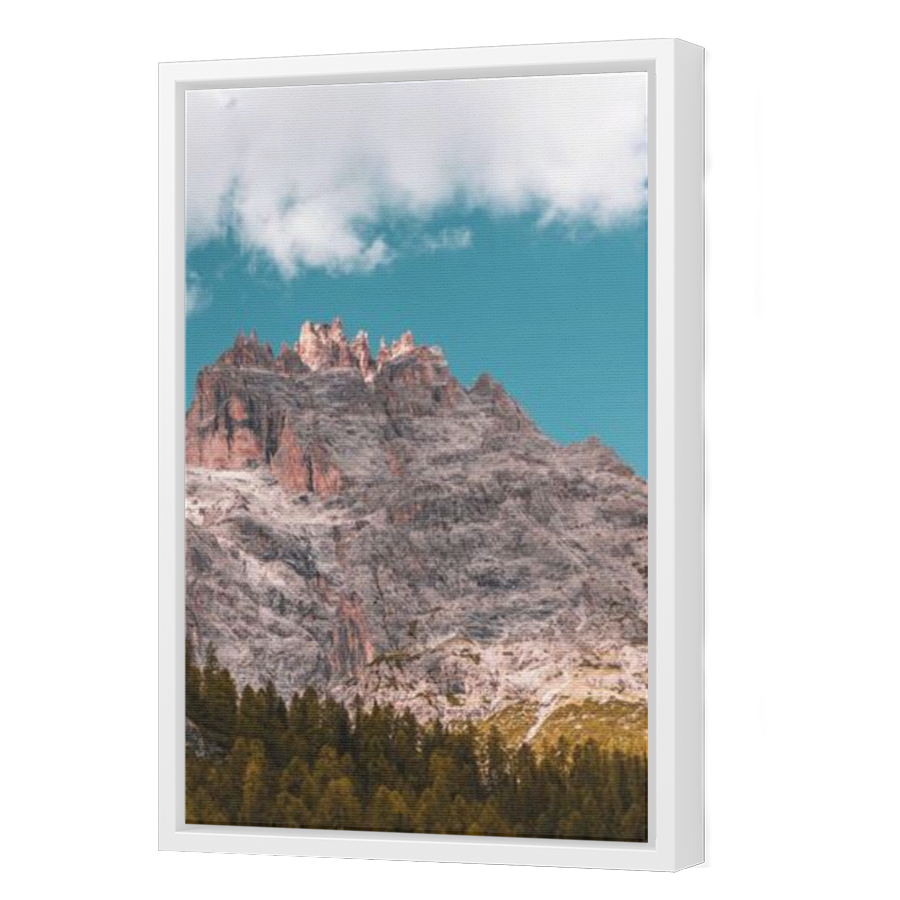 Thumbnail for Canvas - White Floating Frame