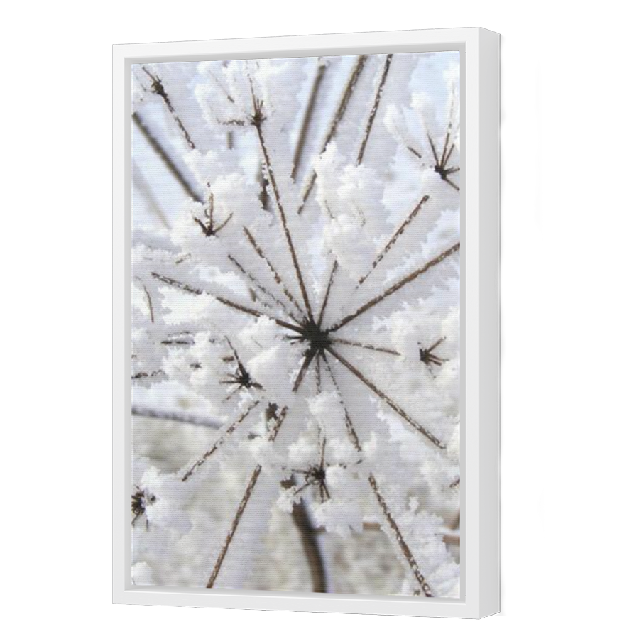 Thumbnail for Canvas - White Floating Frame