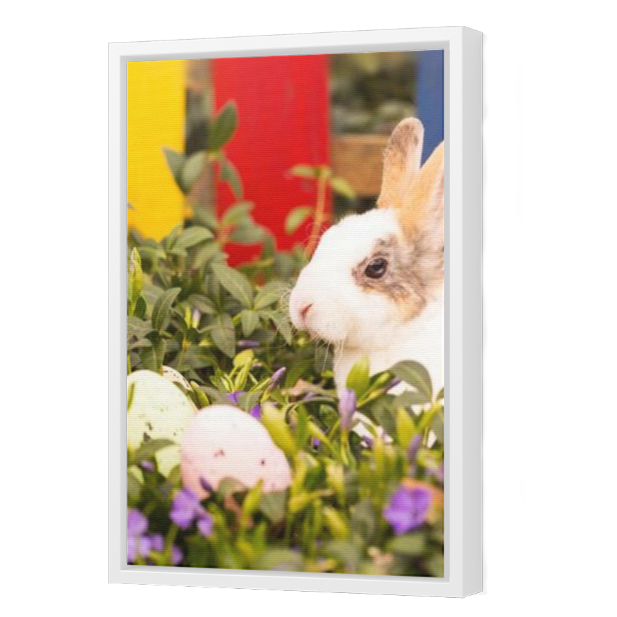 Thumbnail for Canvas - White Floating Frame