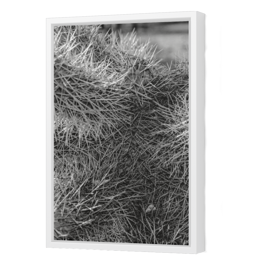 Thumbnail for Canvas - White Floating Frame