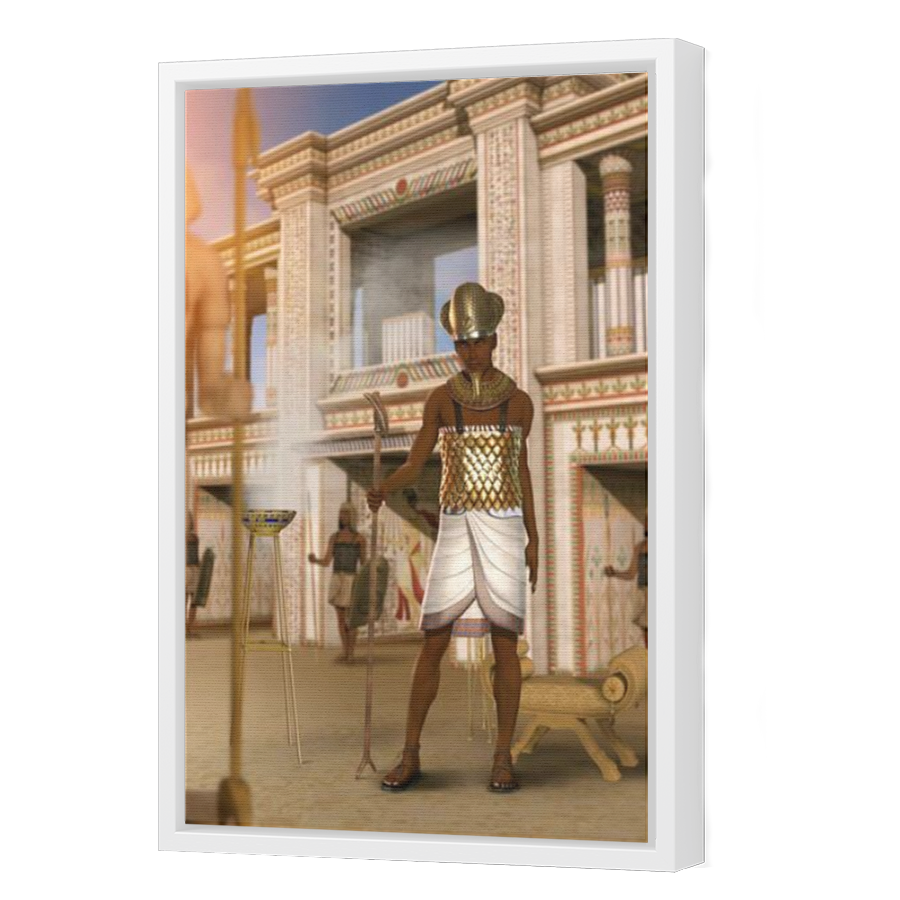 Thumbnail for Canvas - White Floating Frame