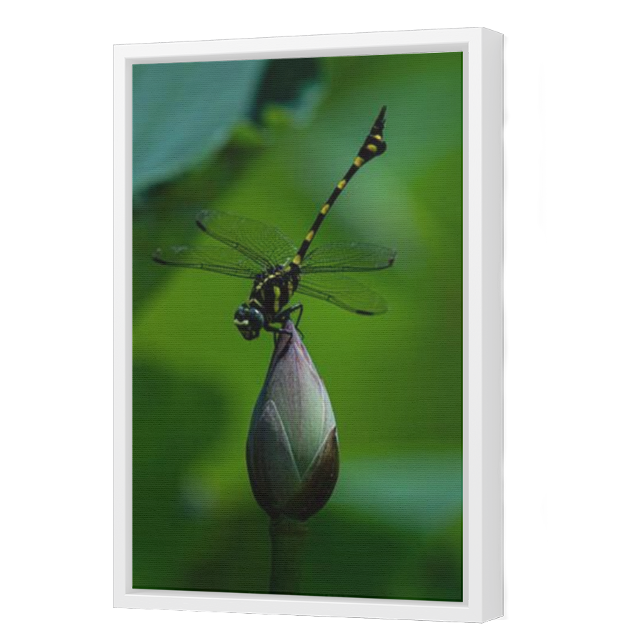 Thumbnail for Canvas - White Floating Frame