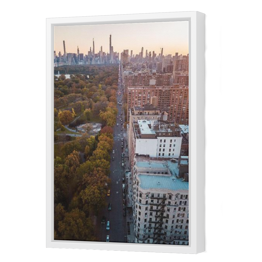 Thumbnail for Canvas - White Floating Frame
