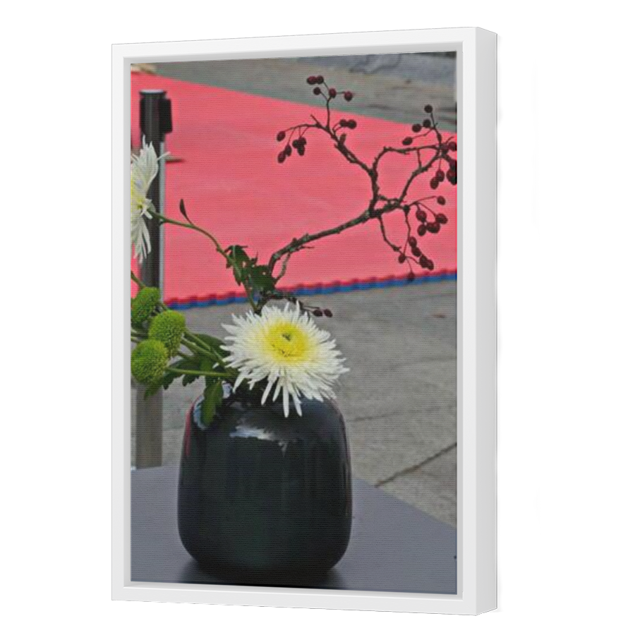 Thumbnail for Canvas - White Floating Frame