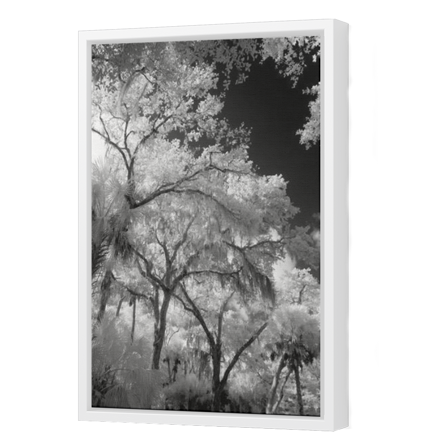 Thumbnail for Canvas - White Floating Frame