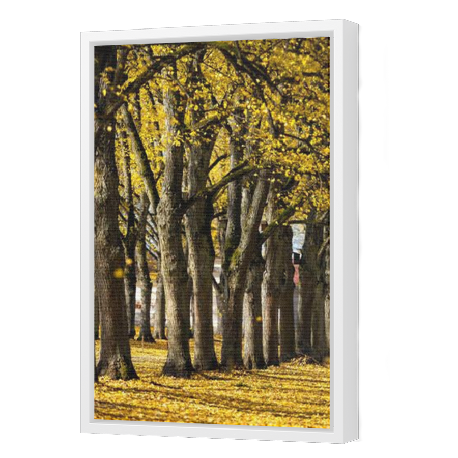 Thumbnail for Canvas - White Floating Frame