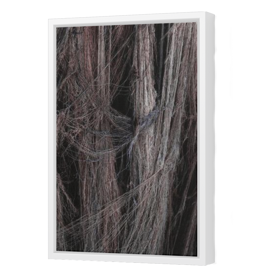 Thumbnail for Canvas - White Floating Frame