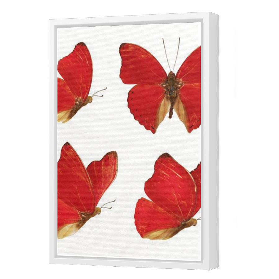 Thumbnail for Canvas - White Floating Frame