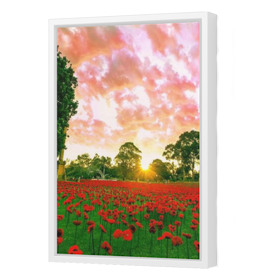 Thumbnail for Canvas - White Floating Frame