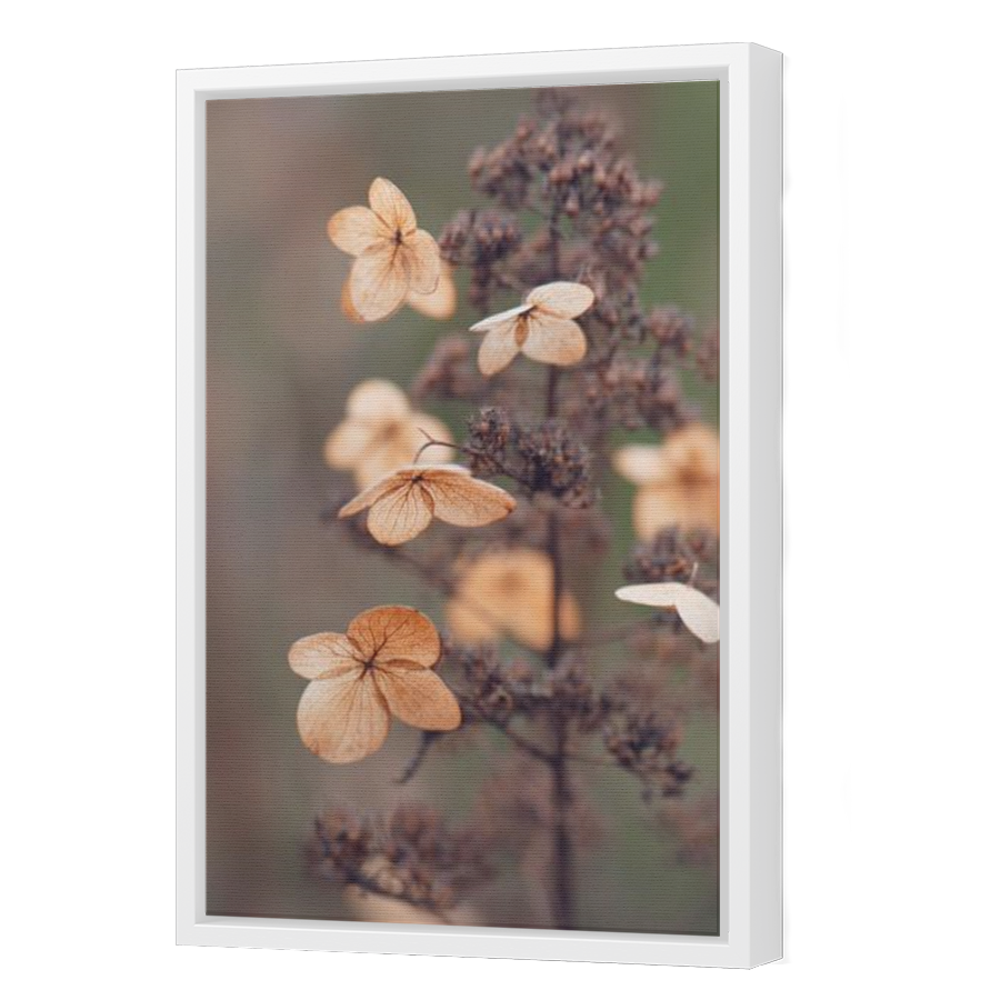Thumbnail for Canvas - White Floating Frame