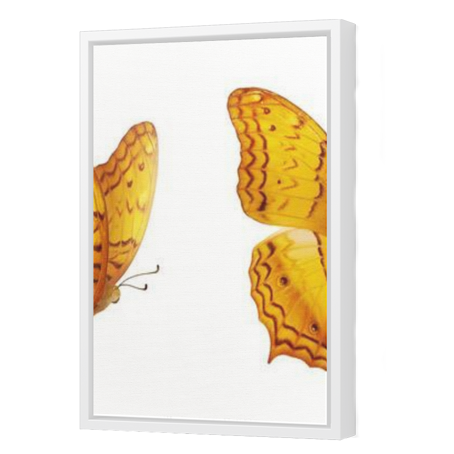 Thumbnail for Canvas - White Floating Frame