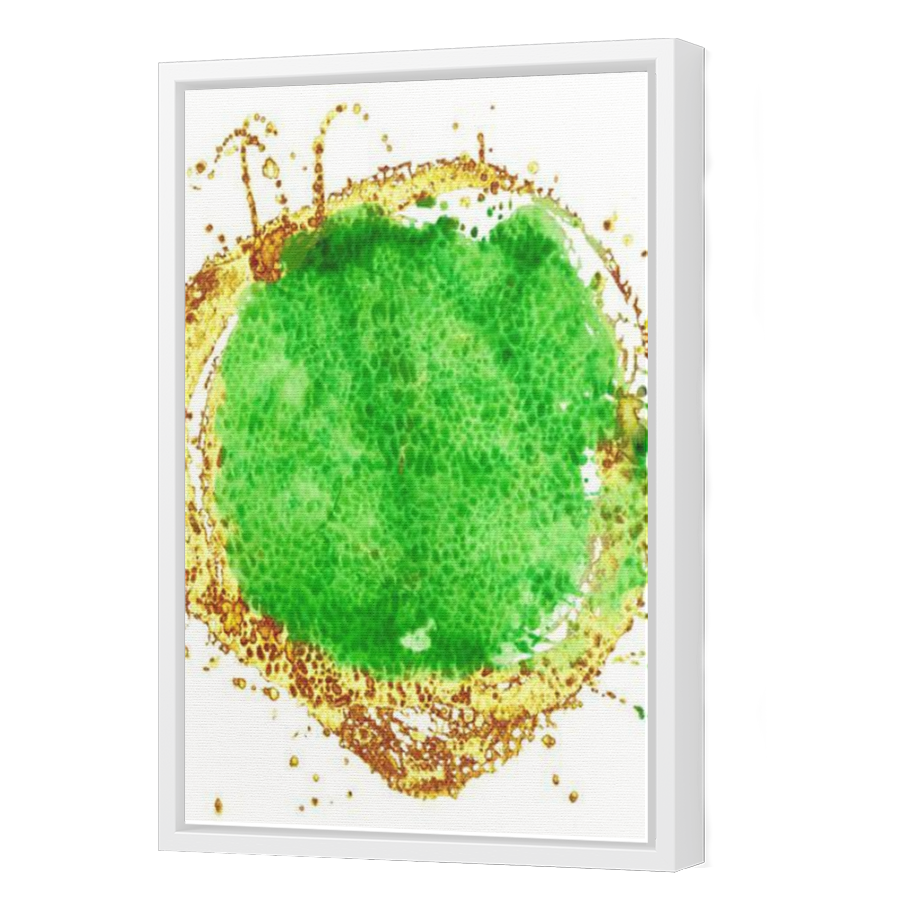Thumbnail for Canvas - White Floating Frame