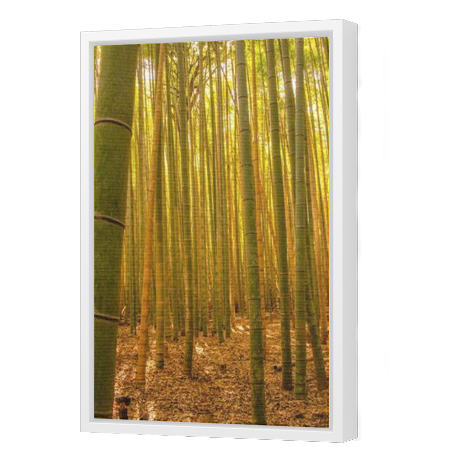Thumbnail for Canvas - White Floating Frame