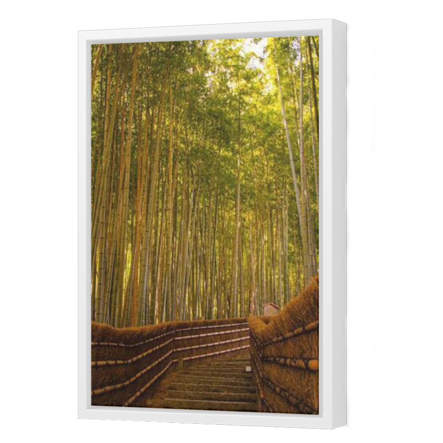 Thumbnail for Canvas - White Floating Frame