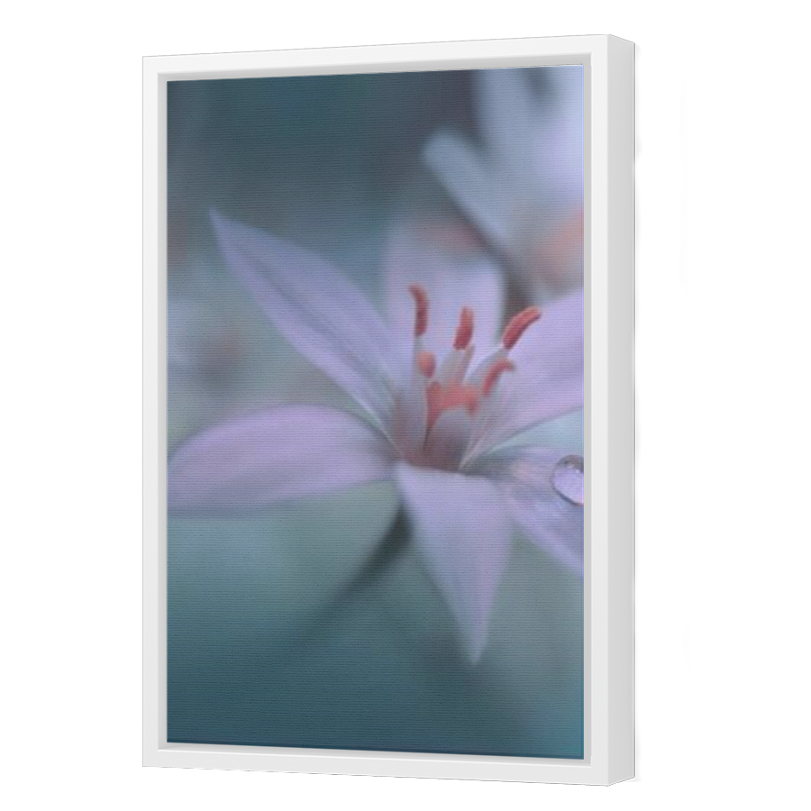 Thumbnail for Canvas - White Floating Frame