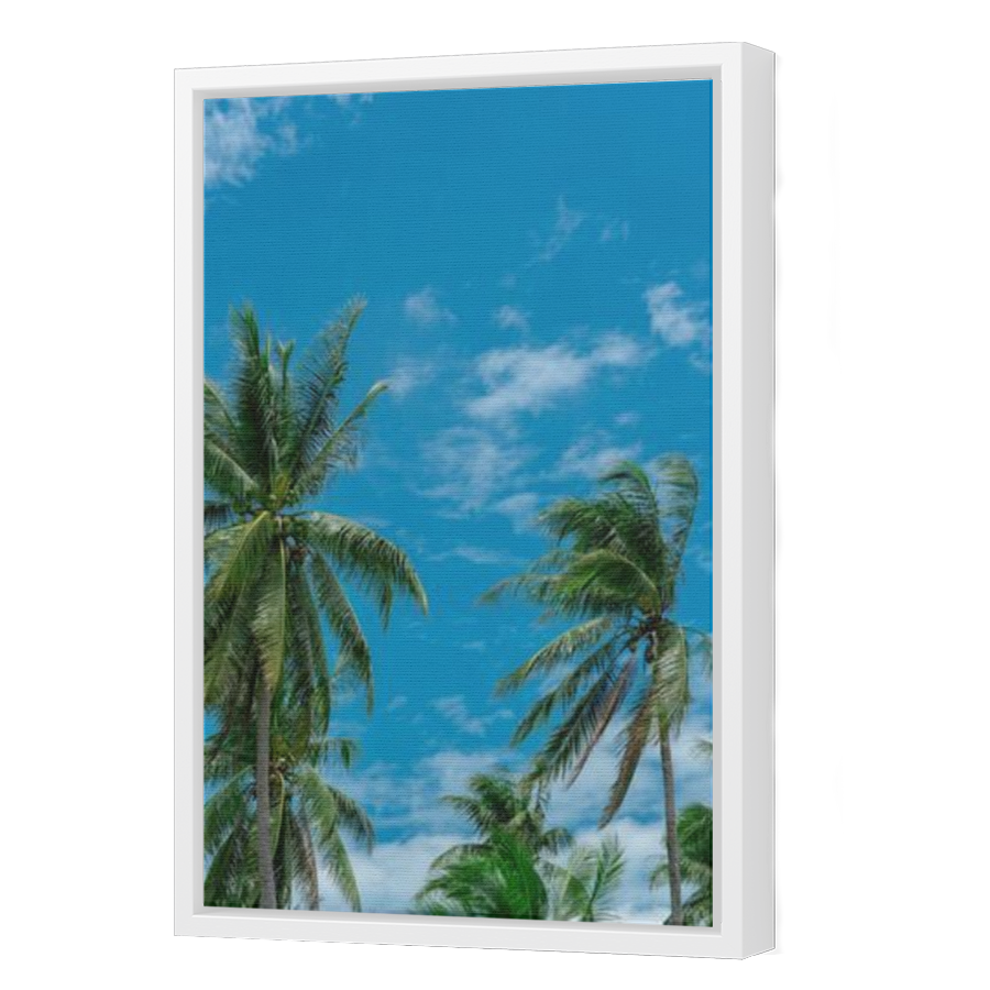Thumbnail for Canvas - White Floating Frame