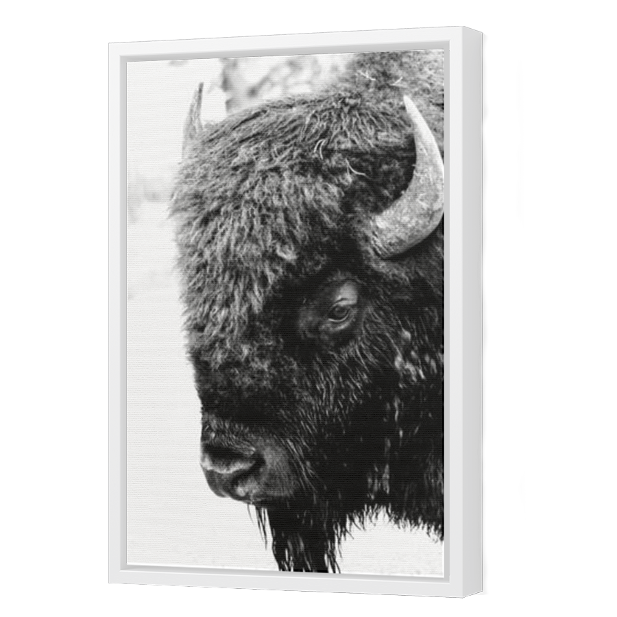 Thumbnail for Canvas - White Floating Frame