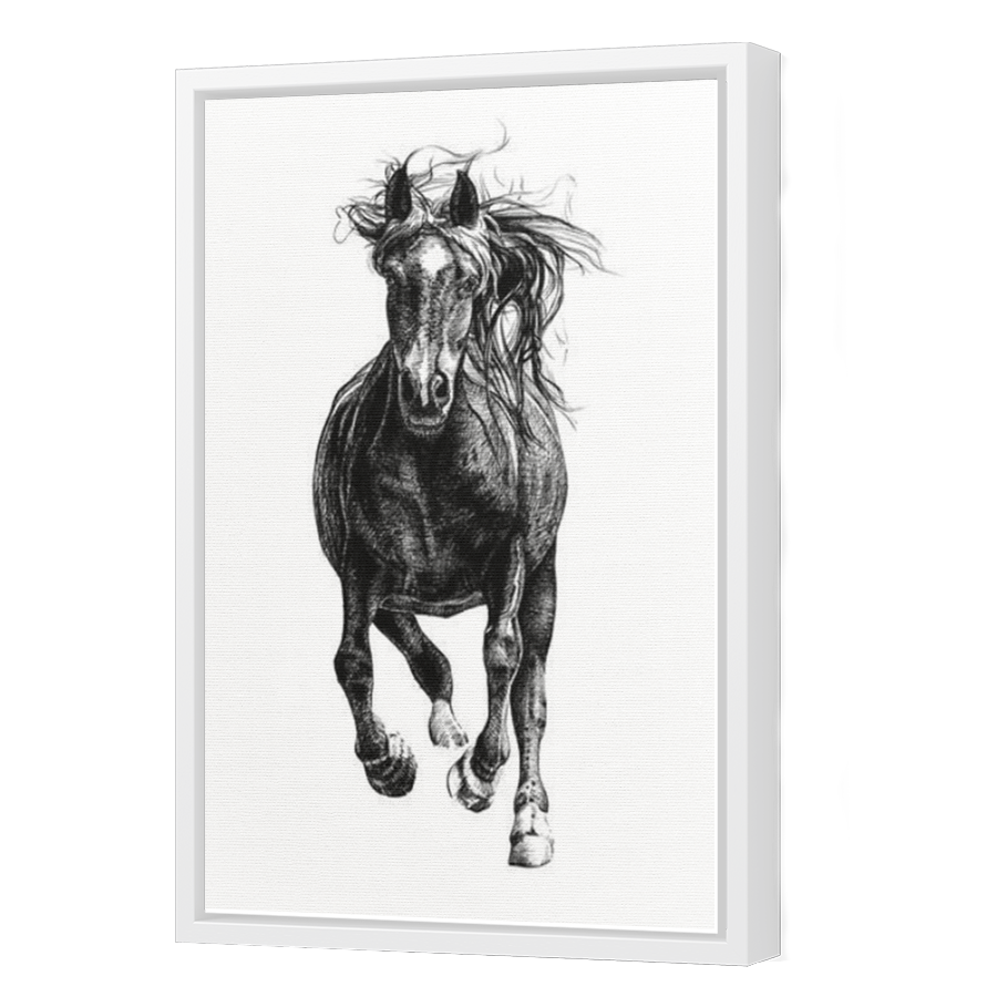 Thumbnail for Canvas - White Floating Frame